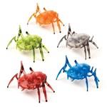 HEXBUG Scarab pomarańczowy1