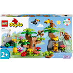 LEGO DUPLO 10973 Dzikie zwierzęta Ameryki Południowej2