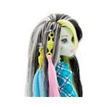 Monster High Voltageous Hair Frankie Stein5