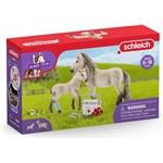 Schleich 42430 Súprava prvej pomoci pre islandské žrebča a kobylu1