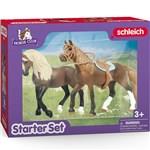 Schleich 42738 Koňský klub Paso Peruano Štartovacia sada2